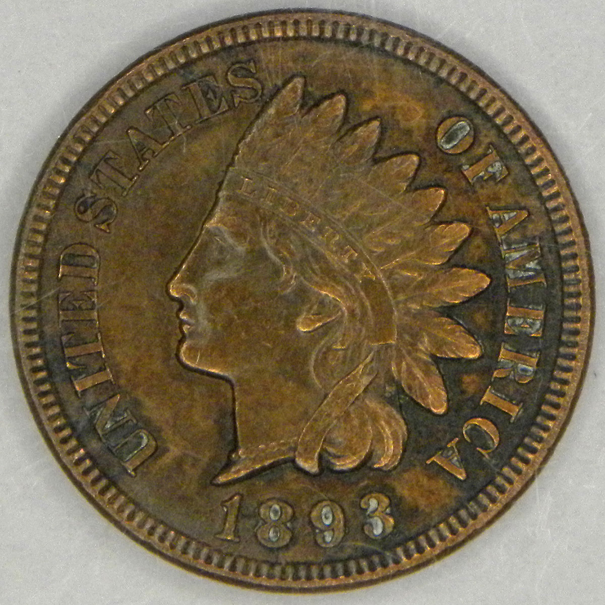 1893 Indian Head Cent (obverse)