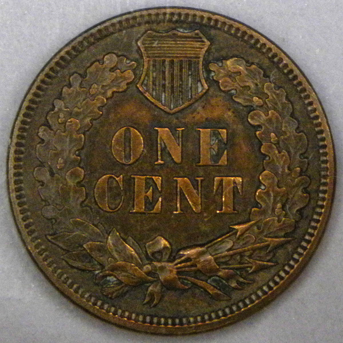 1893 Indian Head Cent (reverse)