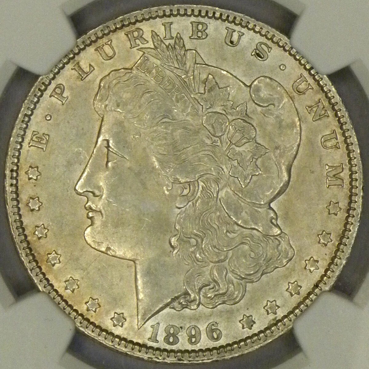 1896 Morgan Dollar (obverse)