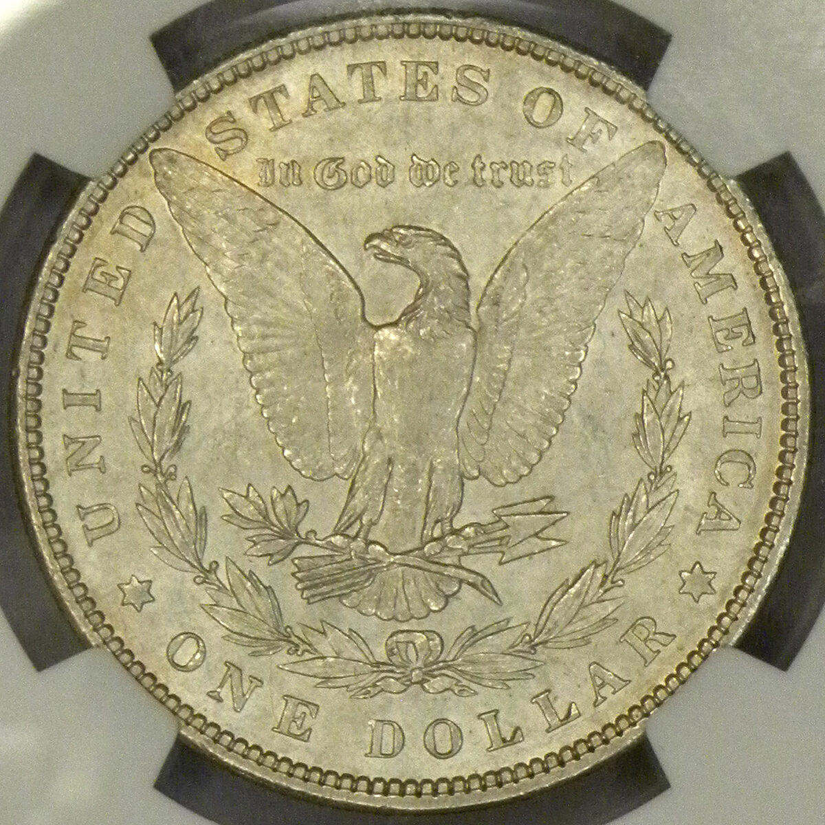 1896 Morgan Dollar (reverse)