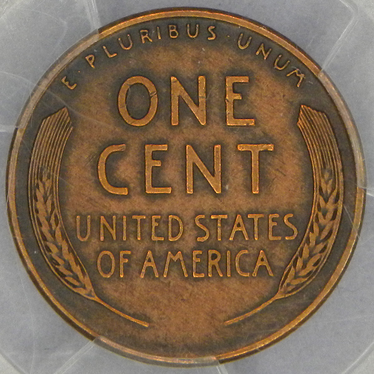 1955 Double Die Lincoln Cent (reverse)