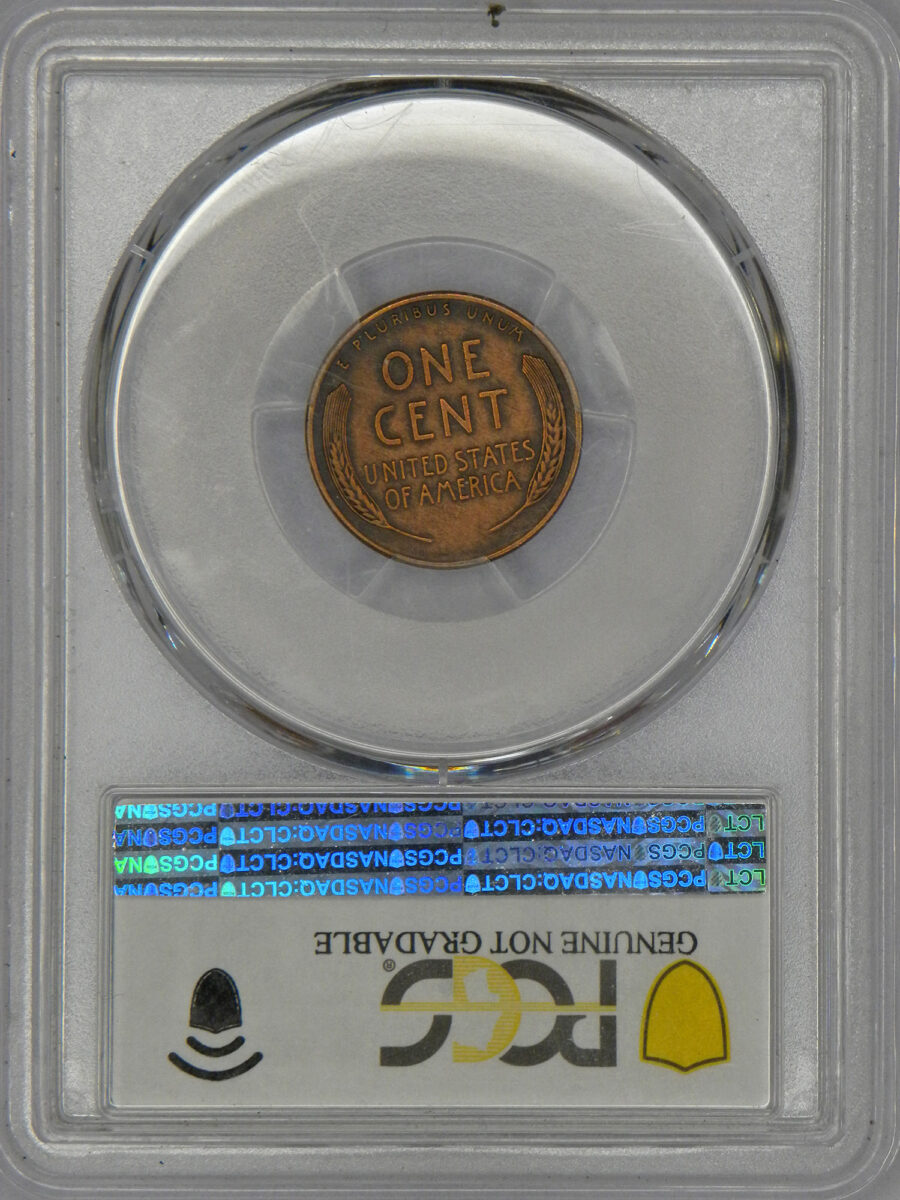 1955 Double Die Lincoln Cent (reverse slab)