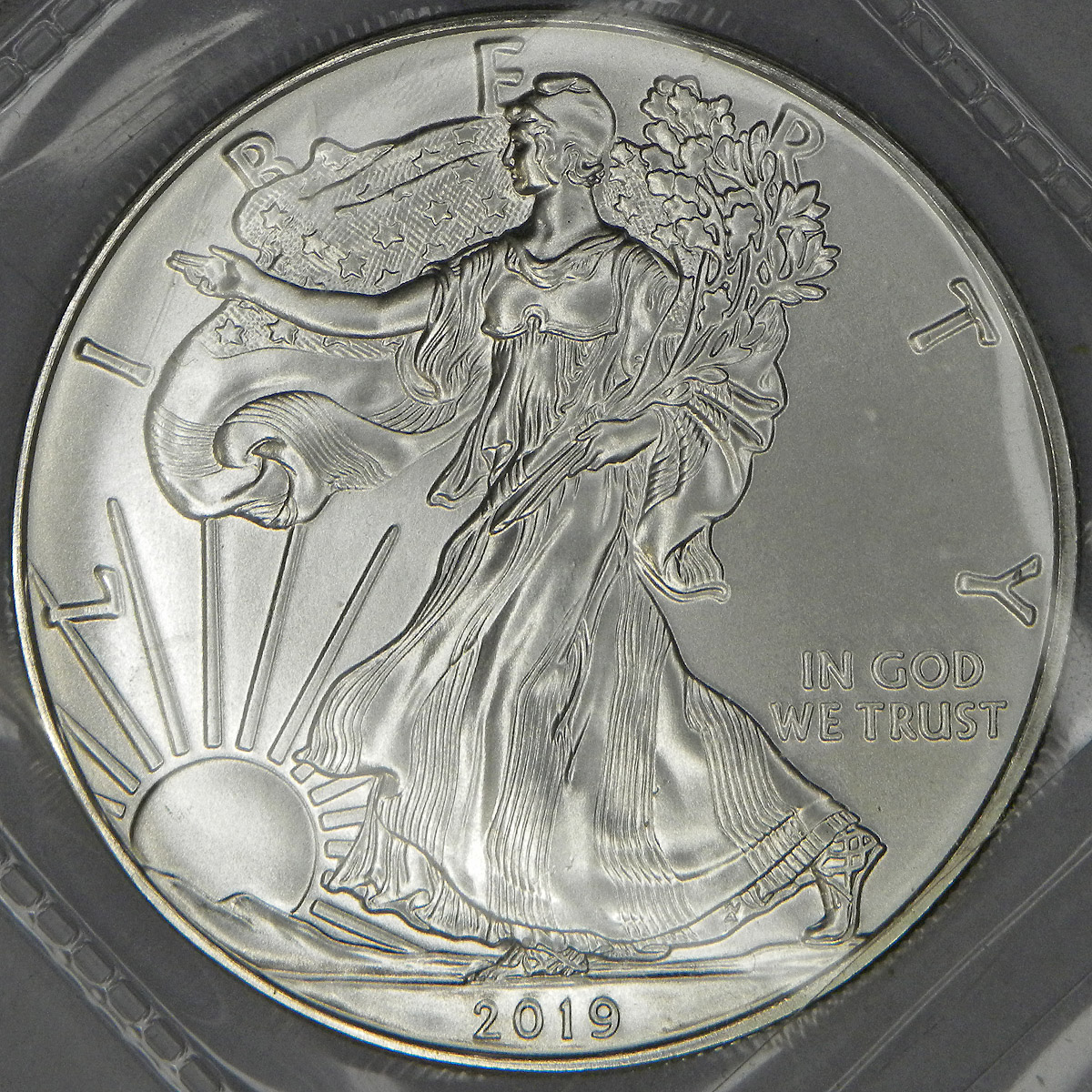 2019 US Silver Eagle (obverse)